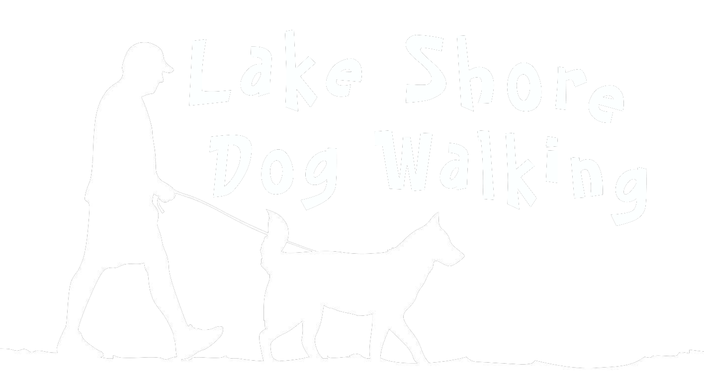 Lake Shore Dog Walking