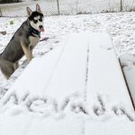 IMG_9571