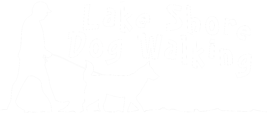 Lake Shore Dog Walking